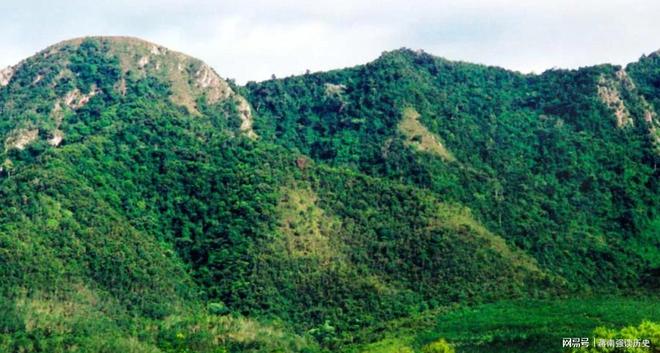 干部发现山头长得像毛